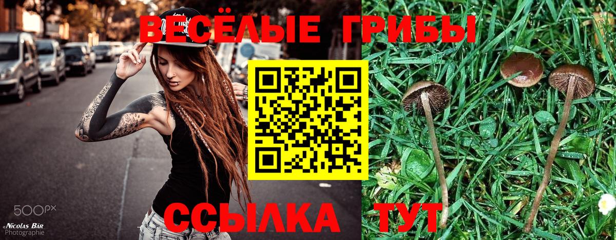 Углич  Галлюциногенные грибы MAGIC MUSHROOMS  Вход с VPN  Псилоцибиновые грибы Psilocybe 